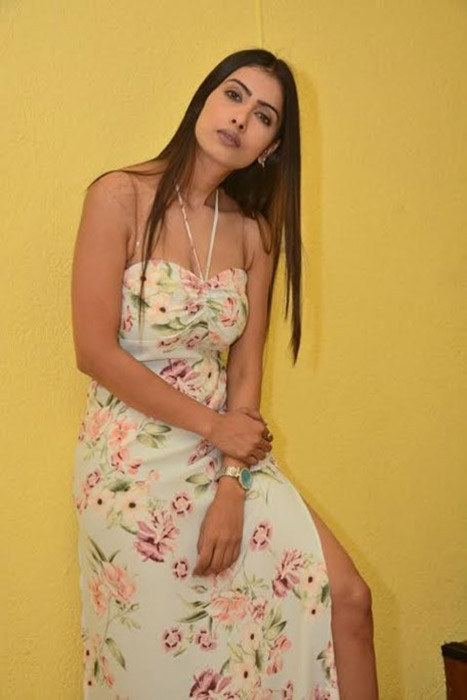 KRITI - KARMA MODELS